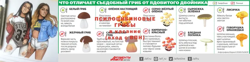 Галлюциногенные грибы прущие грибы  Мураши 